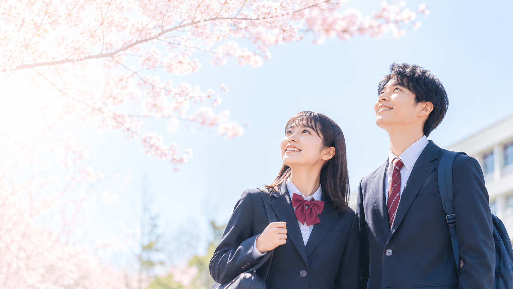 桜の下の高校生